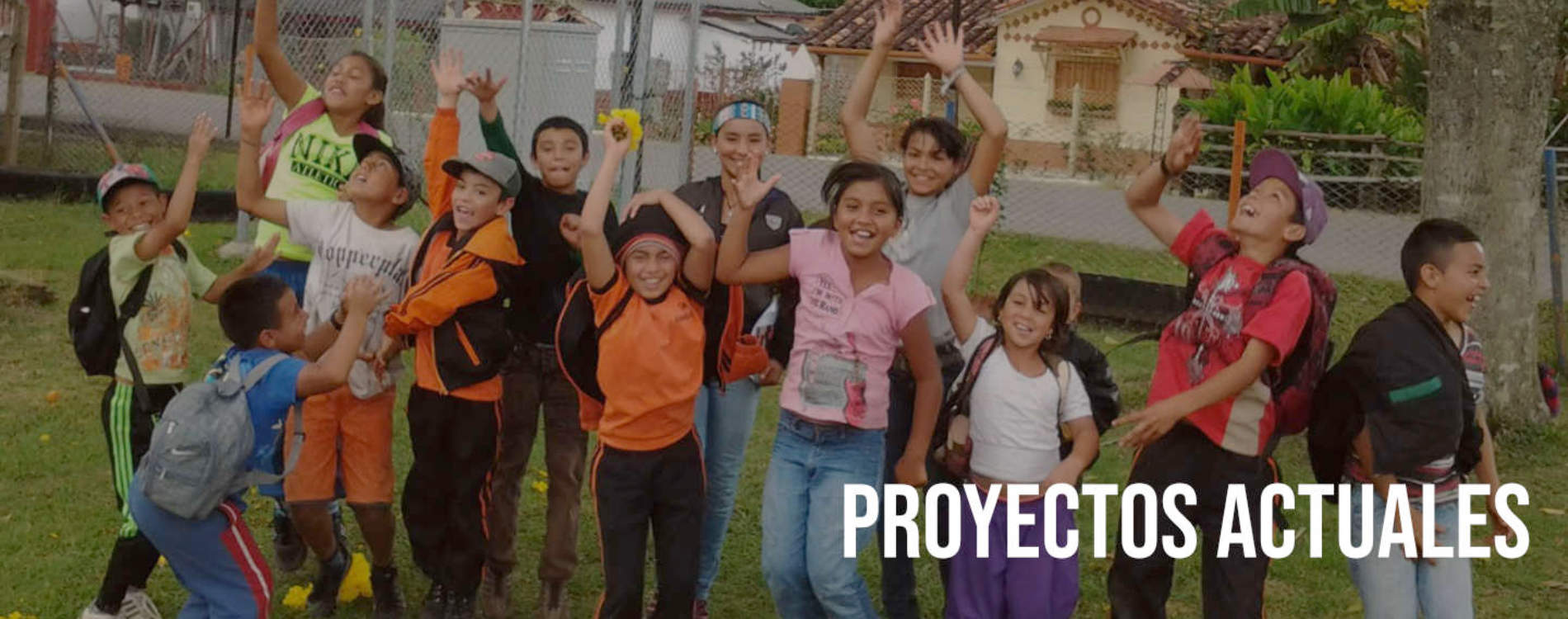 Proyectos Actuales